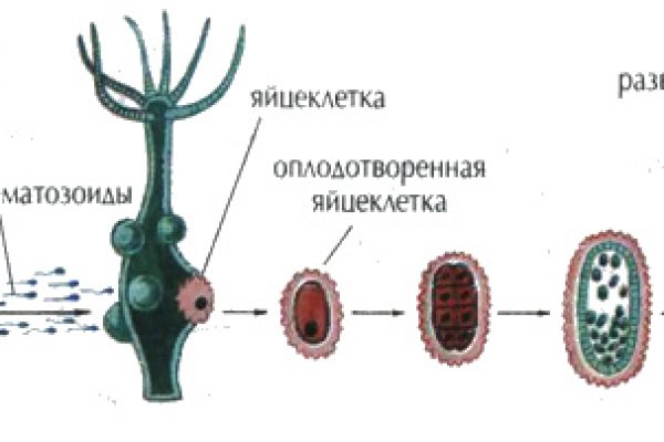 Кракен ссылка официальная в тор