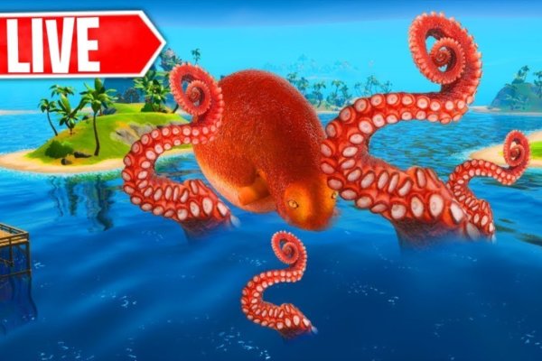 Kraken 12at