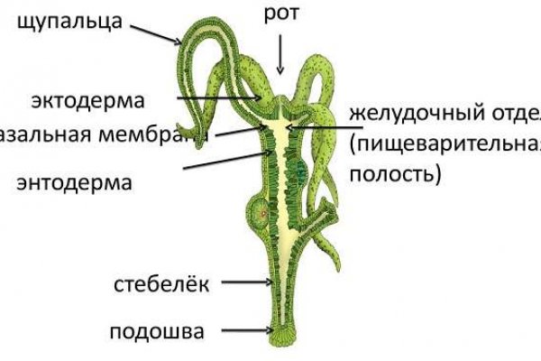 Сайт кракен рабочая ссылка