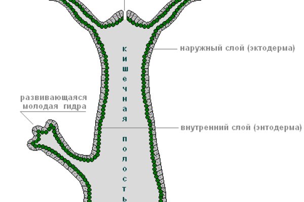 Кракен браузер