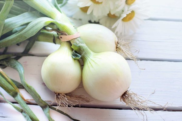 Kraken ссылка onion 2kmp